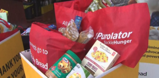 多伦多食物银行到访人数较疫情前增两倍