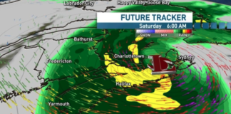 菲奥娜飓风来袭 加东居民需储备72小时基本物资