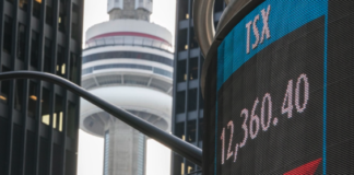 四分之一的加拿大人对股市失去信心