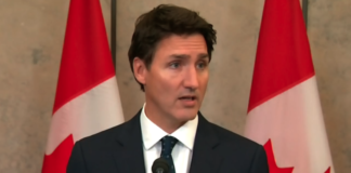 发钱啦!加拿大要翻倍退税!收入低于$10万都能领!