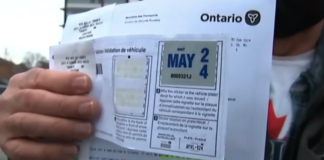 安省发放车牌贴纸退款有人收到3.8万加元!