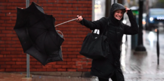 多伦多发布大风警报 有停电风险