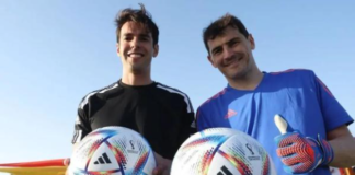 11月起 这些新规和动态将影响华侨华人的生活