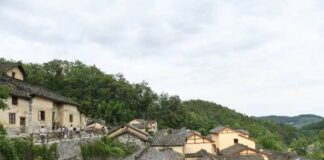 黄牛领“年薪”村民成“演员” 湖南竹山村蝶变展新颜