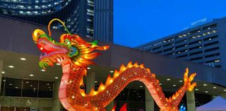 中华文化魅力四射,多伦多龙文化节完美收官!