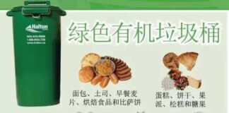 绿色环保与垃圾分类