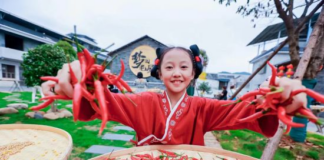 湖南桂阳:沃野绘“丰”景 乡村展新颜