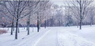 安大略省预计下周末迎来本季度首场降雪