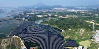 探访福建中核云霄陈岱5万千瓦渔光互补项目