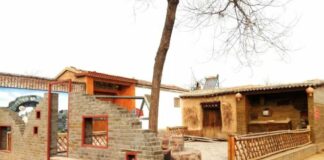 喜报! 聊城这3个村庄入选山东省乡村旅游重点村!