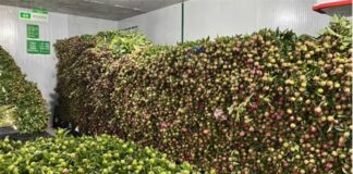 山东菏泽,不仅仅是“粮袋子”“菜篮子”“果盘子”