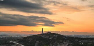 巨野工笔牡丹画 绘出乡村振兴新图景