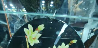 郓城李程:漆器在中国有7000年历史