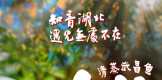 AI眼中的中国|珍馐佳肴,十里飘香,人间至味是湖北