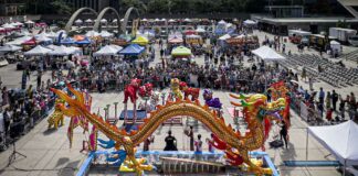 亮眼、养眼、开眼!2024多伦多龙文化节完美收官