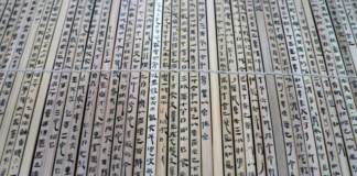 柳长华:失传“扁鹊医书”,这样重见天日