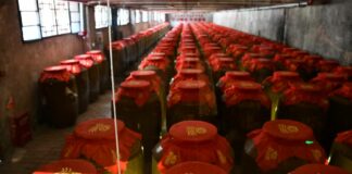 “侨行贵州-酱香海外”| 走进仁怀市茅台镇