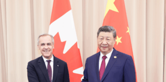 习近平会见加拿大总理卡尼