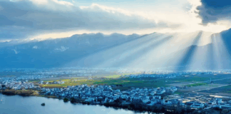 COP30公益歌曲《只此青绿中》,唱响青绿之约!