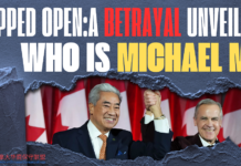 加拿大华裔保守联盟(Alliance of Chinese Conservatives, AOCC)谴责声明